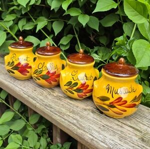 Set of Colorful Ceramic Spice Jars